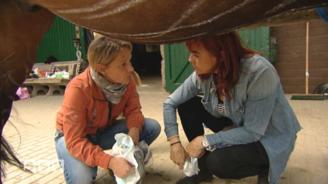 Die Baby-Windel wird zum Huf-Verband