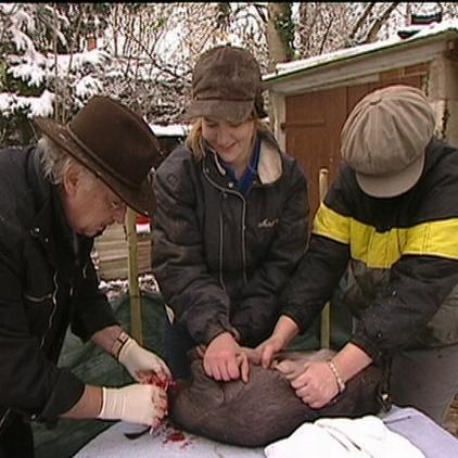 sprechstunde1 ferkel+besitzer sprechstunde1 ferkel+besitzer