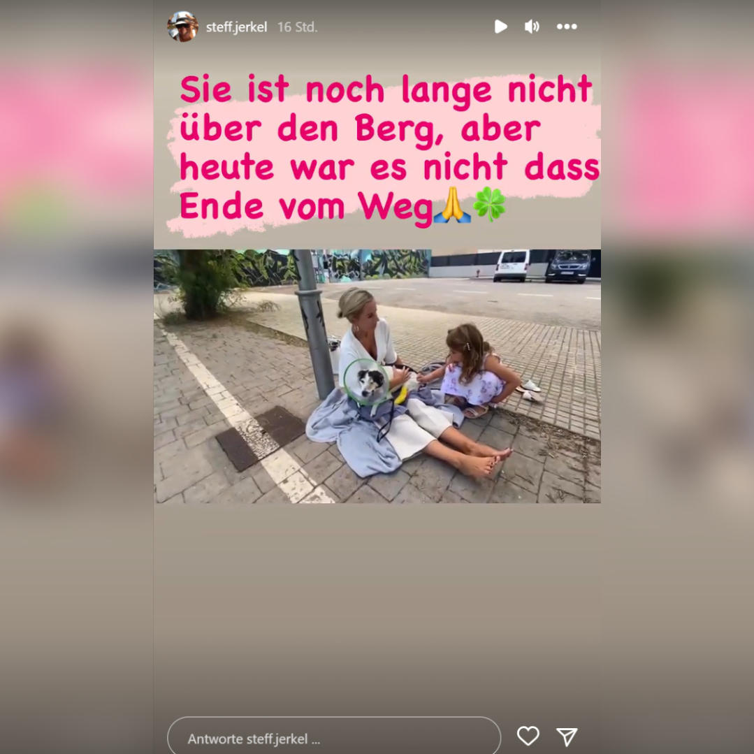 Endlich können Peggy Jerofke und die kleine Josephine ihre geliebte Hündin Kiki wieder in die Arme schließen. Endlich können Peggy Jerofke und die kleine Josephine ihre geliebte Hündin Kiki wieder in die Arme schließen.