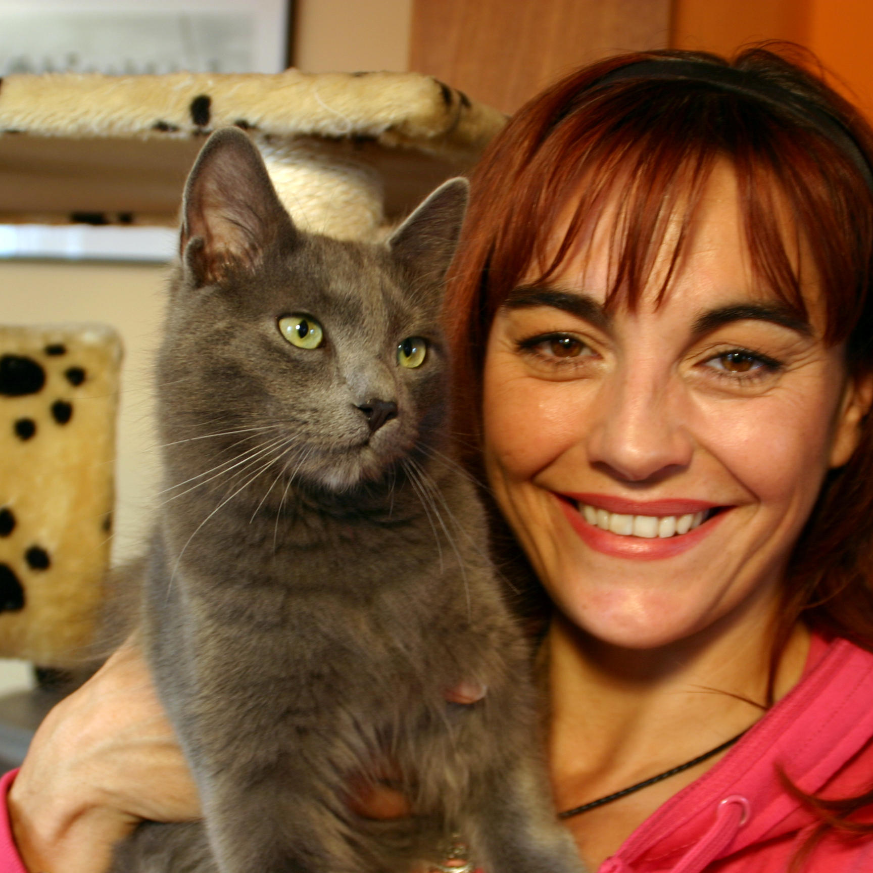 Tiergeschichten1 - Nebelungkatzen Tiergeschichten1 - Nebelungkatzen