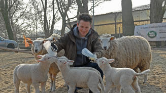 Hundehaltung außer Kontrolle