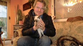 Katzen in Not suchen ein neues Zuhause