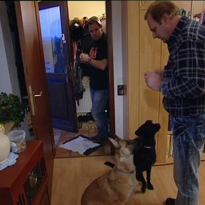 hundeprofi hunde+besitzer hundeprofi hunde+besitzer
