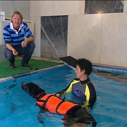 Tiere in Not Frank Weber Schwimmtherapie Kasimir Tiere in Not Frank Weber Schwimmtherapie Kasimir
