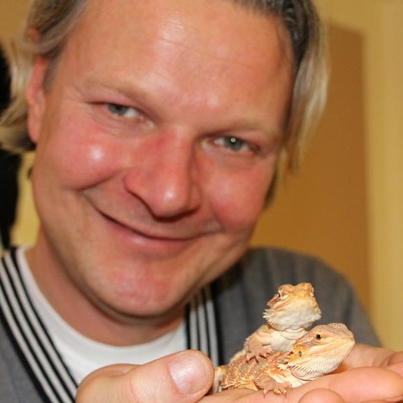 Tiere in Not - VOX-DOCMA TV-CHRISTIAN NEUMANN - Frank Weber kmmert sich um Vermittlung von 29 Bartagamen-Babies. Tiere in Not - VOX-DOCMA TV-CHRISTIAN NEUMANN - Frank Weber kmmert sich um Vermittlung von 29 Bartagamen-Babies.