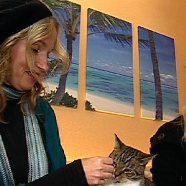 Katzentherapeutin 2 - Birga Dexel fttert Piwi Katzentherapeutin 2 - Birga Dexel fttert Piwi