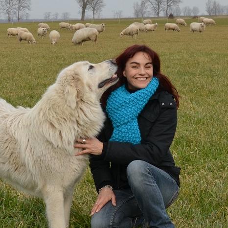 Tiergeschichten2 - VOX-DOCMA TV - Diana und Herdenschutzhund auf der Schafweide