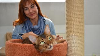 So fühlt sich Ihre Katze wohl