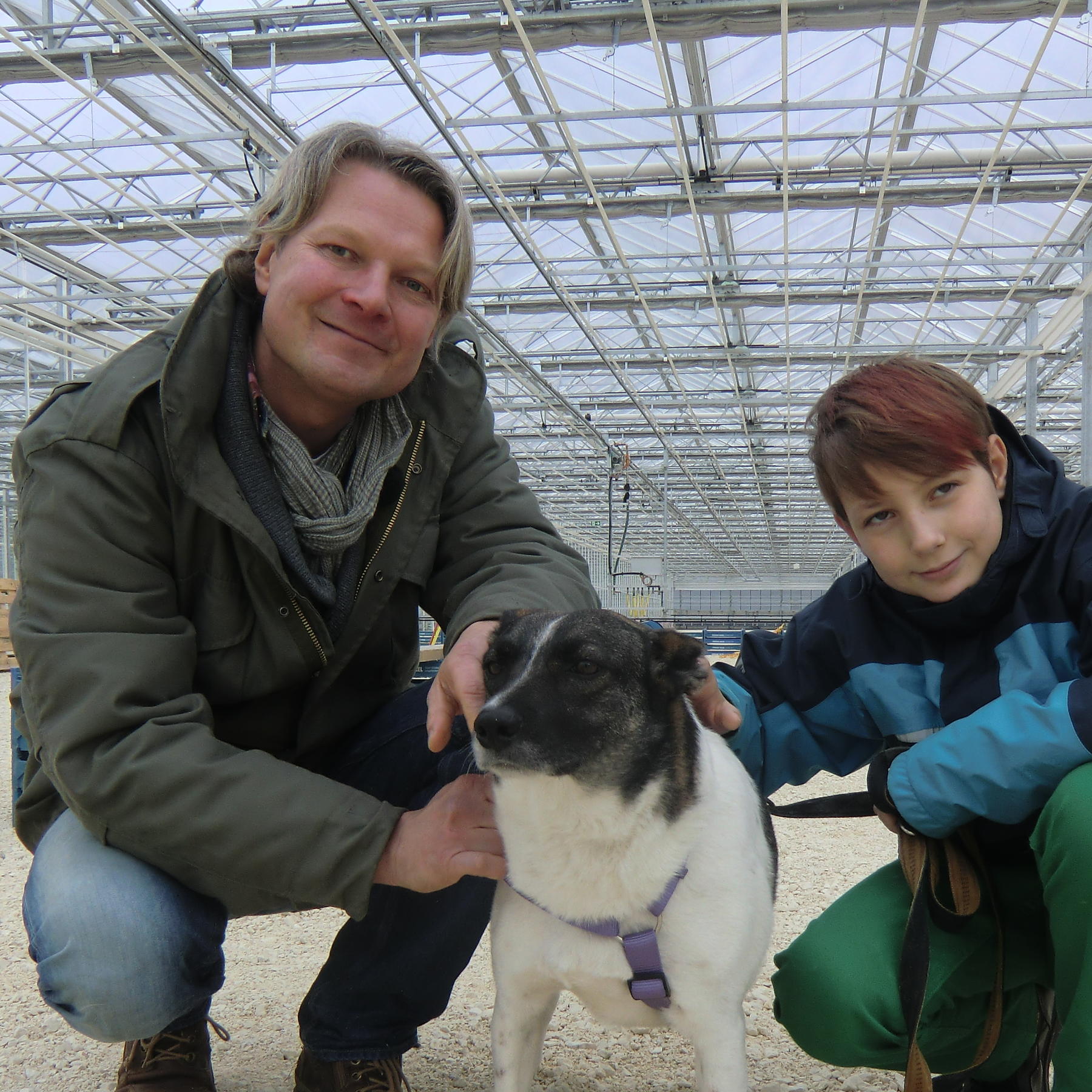Tiere in Not - Hund als Helfer Tiere in Not - Hund als Helfer