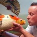 ww folge143 koi ww folge143 koi