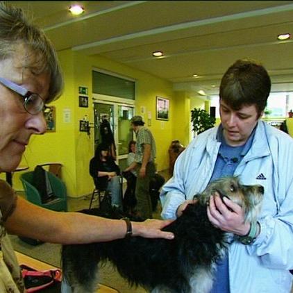 Dodog Dortmund Hundehilfe Dodog Dortmund Hundehilfe