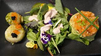 Lachs mit Avocado und Jakobsmuschel