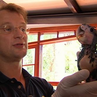 tiergeschichten2 a2 tiergeschichten2 a2