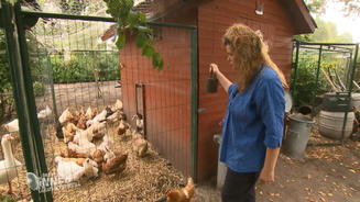 Ihr Essen kommt aus dem eigenen Garten