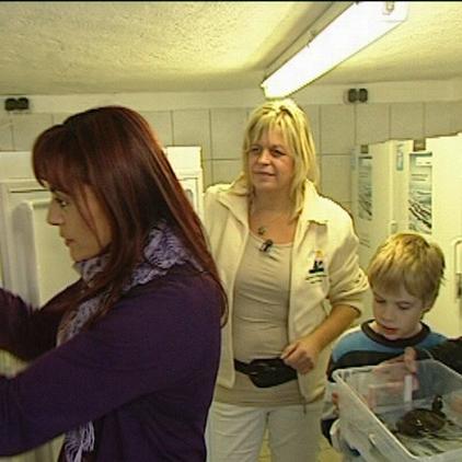 Tiergeschichten1 Diana Familie Kammer und Klobuch Verabschiedung der Schildkrten Tiergeschichten1 Diana Familie Kammer und Klobuch Verabschiedung der Schildkrten