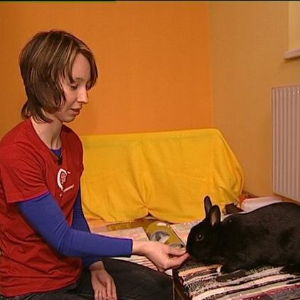 tiergeschichten2 kaninchen lola trainiert tiergeschichten2 kaninchen lola trainiert