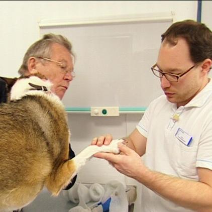 TK Bielefeld Hund Felix Zehen Tumor