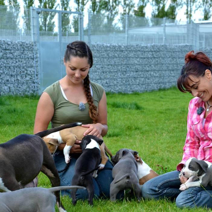 Tiergeschichten1 - Tierheim Berlin.JPG Tiergeschichten1 - Tierheim Berlin.JPG