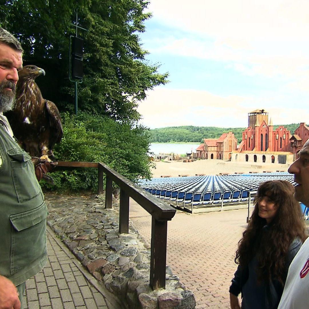 ta marco nieburg adler1 ta marco nieburg adler1