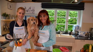 Smoothies für Hunde