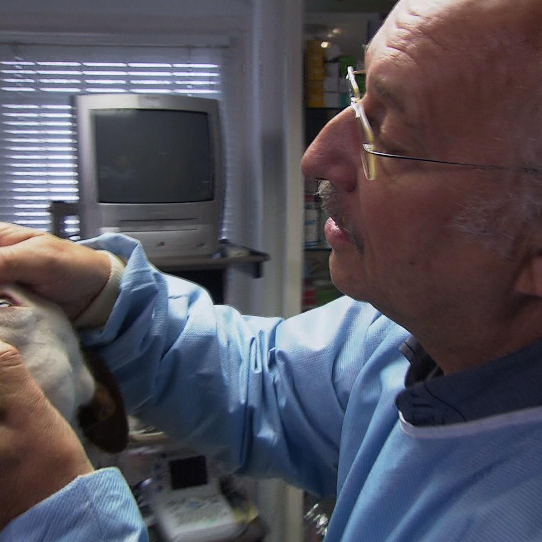 Sprechstunde - Dr. Wolf und Hund mit Zecke Sprechstunde - Dr. Wolf und Hund mit Zecke