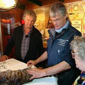 LTA Heeren Kater Kneipenkastration LTA Heeren Kater Kneipenkastration