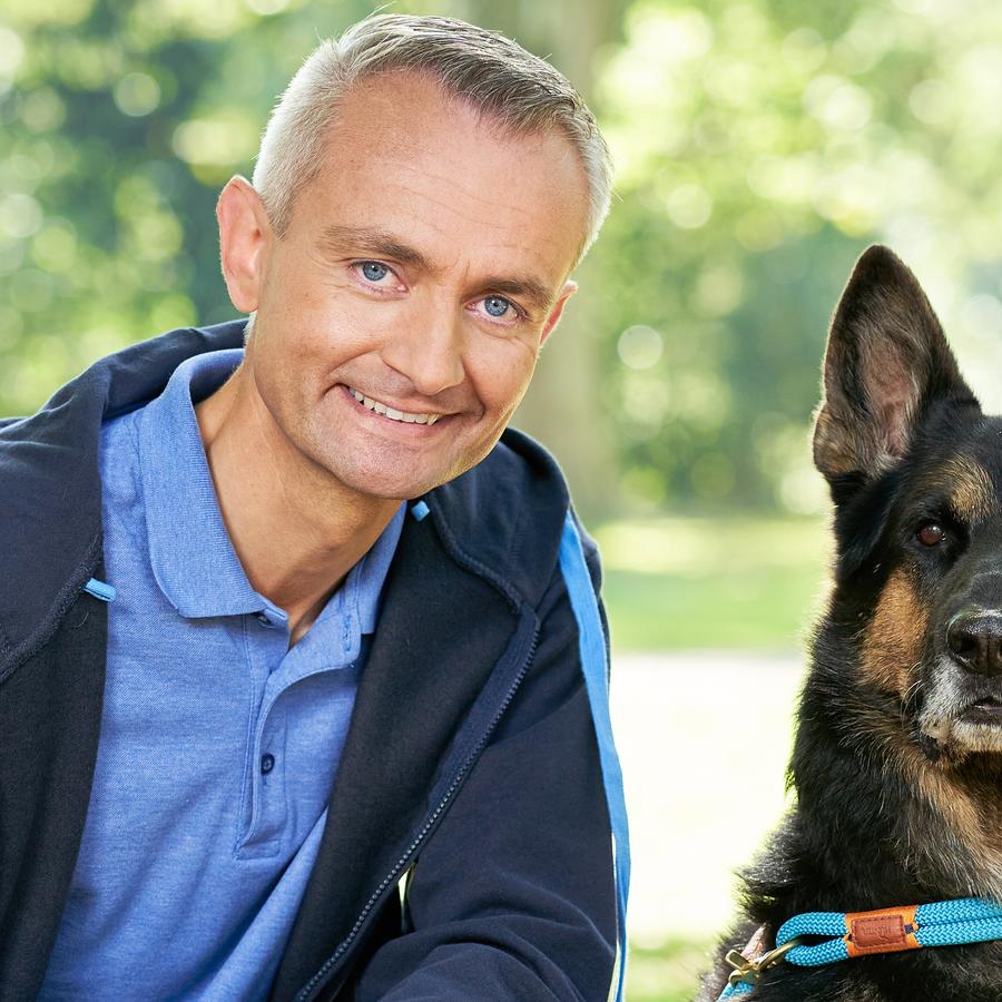Der Hundeprofi - Rütter Team