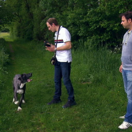 Doggen Nachklapp Doggen Nachklapp
