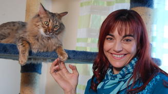 Das Geheimnis der Cashmere-Katze