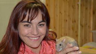 Kommissar Ratte ermittelt