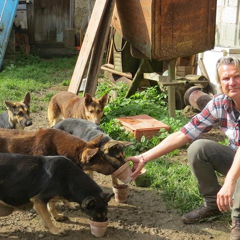 TiereinNot - Maklerhunde VOX - DOCMA TV hundkatzemaus-Tierschutzexperte Frank Weber versucht fr fnf verwahrloste Schferhunde eine neue Bleibe zu finden