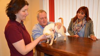 Stressfreier Besuch beim Tierarzt