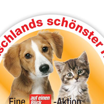 aufeinenblick2.jpg