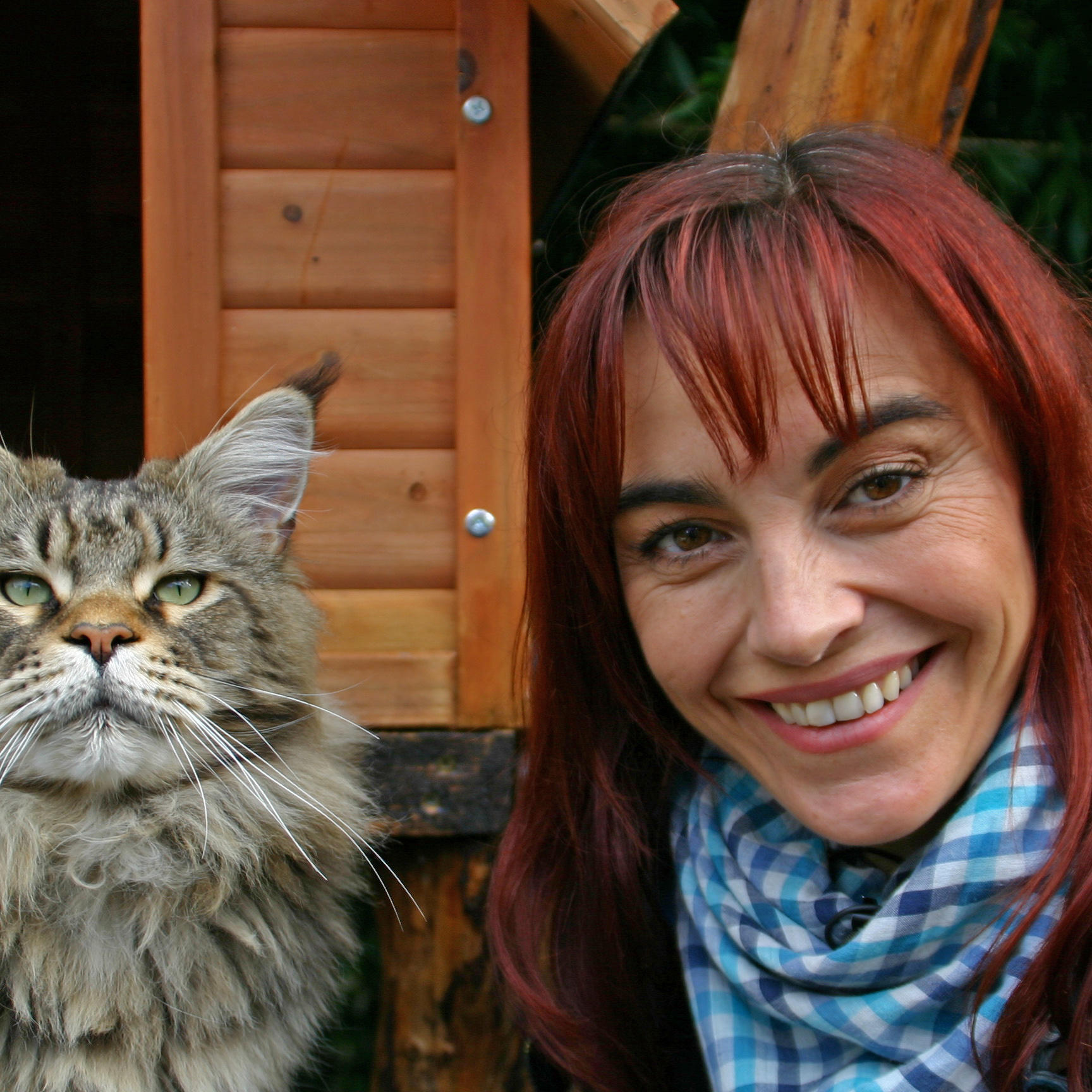 Tiergeschichten2 - Diana und Maine Coon Tiergeschichten2 - Diana und Maine Coon