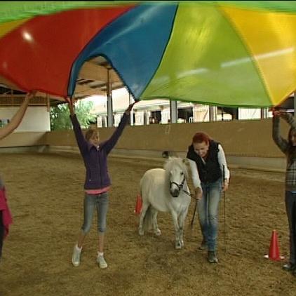 Tiergeschichten2 Showpony Kinder Tiergeschichten2 Showpony Kinder