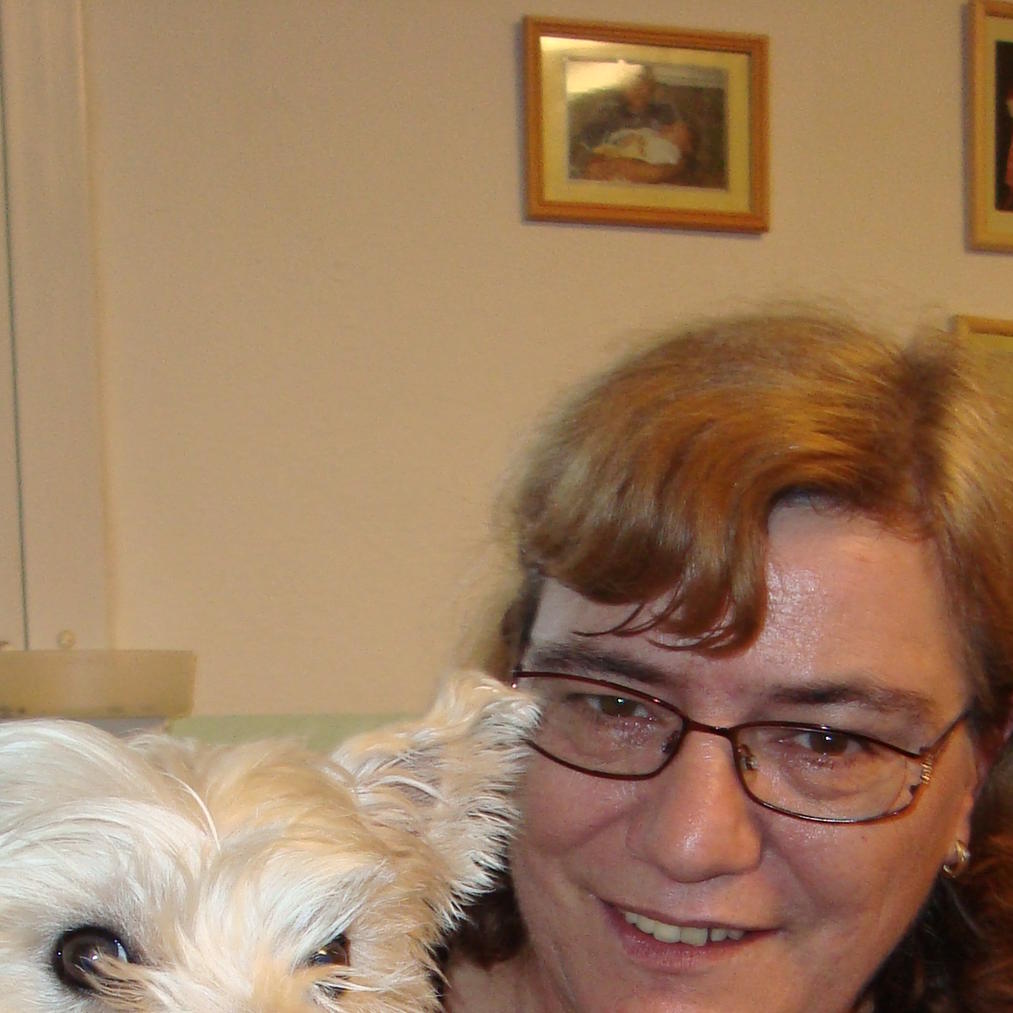 hundeprofi charly1 hundeprofi charly1