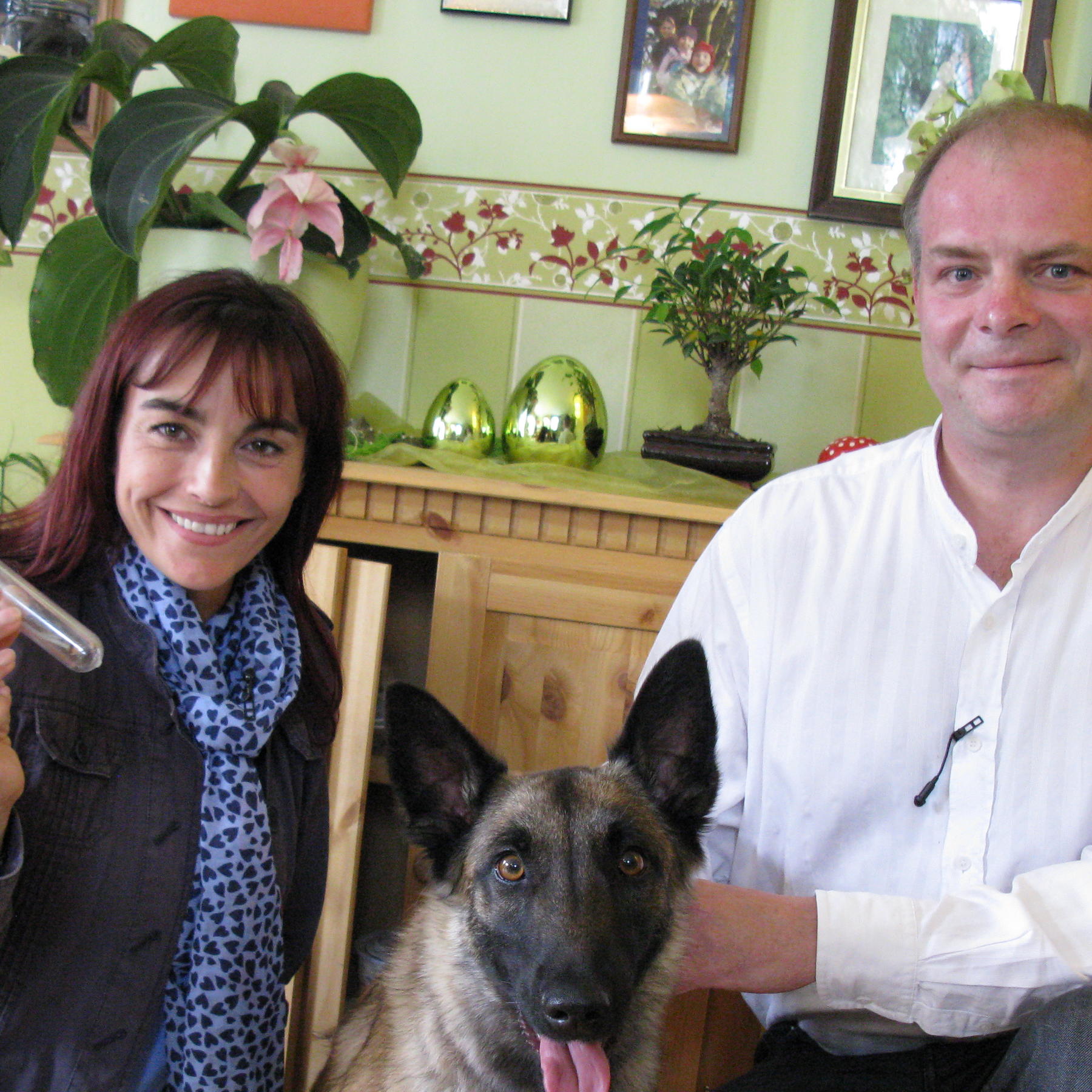 Tiergeschichten 1 - Bild 1 - Diana - Schimmelsuchhund Tiergeschichten 1 - Bild 1 - Diana - Schimmelsuchhund