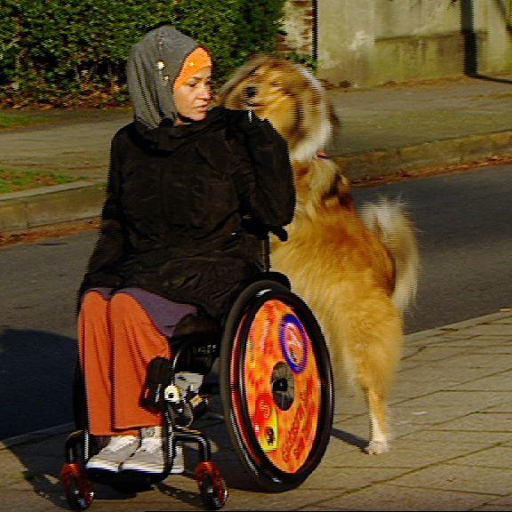 filiz erfurtl filiz erfurtl