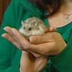 tiergeschichten1 tiergeschichten1