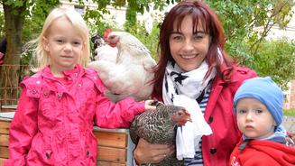 Max - Ein Schwan mit Handicap