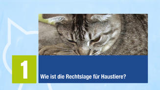 Die fünf wichtigsten Rechtsfragen