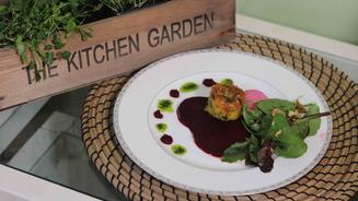 Ziegenkäse-Rote-Bete-Panna-Cotta