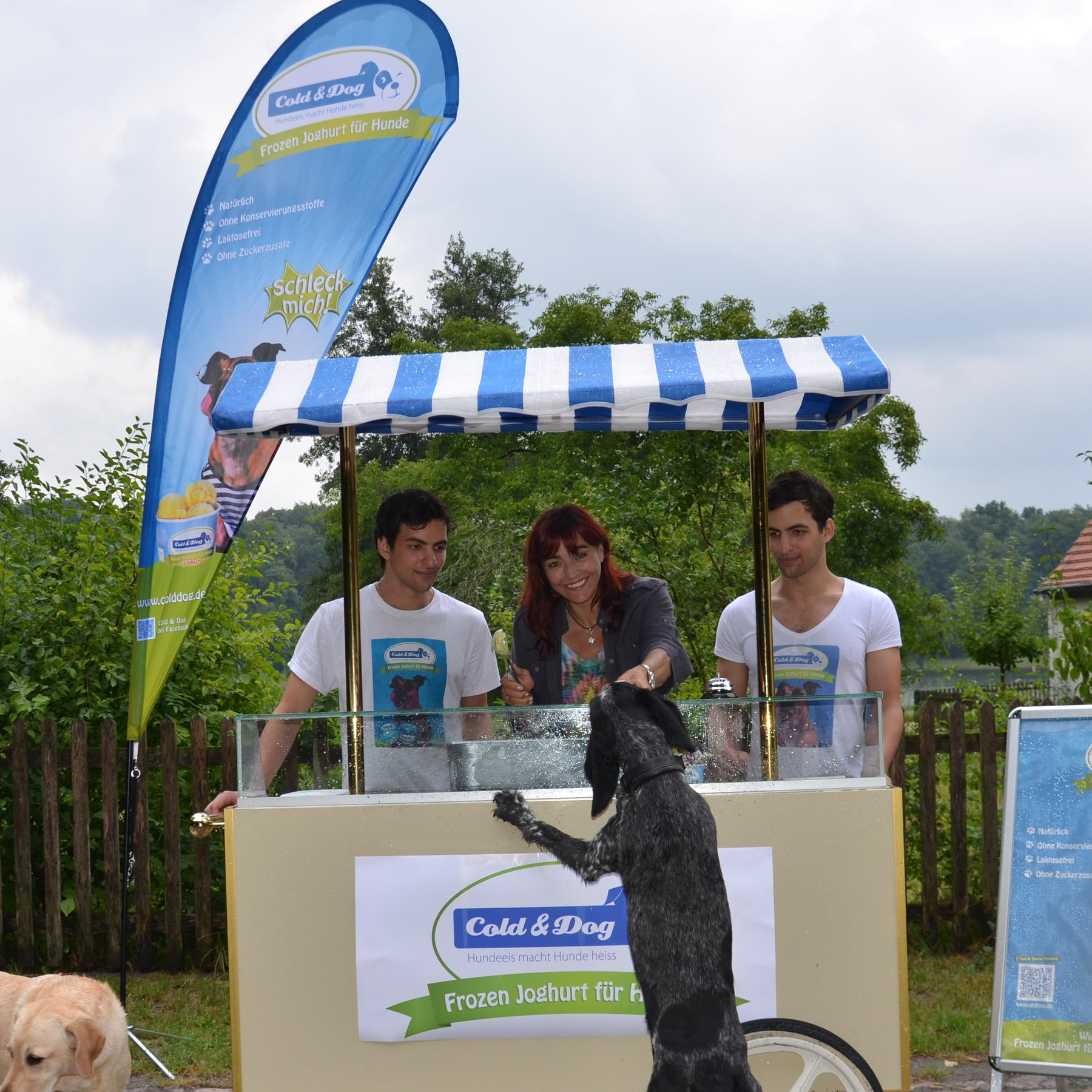 Tiergeschichten2 - VOX-DOCMA TV - Hunde-Eis als leckere Abkhlung fr Ihren Vierbeiner im Sommer Tiergeschichten2 - VOX-DOCMA TV - Hunde-Eis als leckere Abkhlung fr Ihren Vierbeiner im Sommer