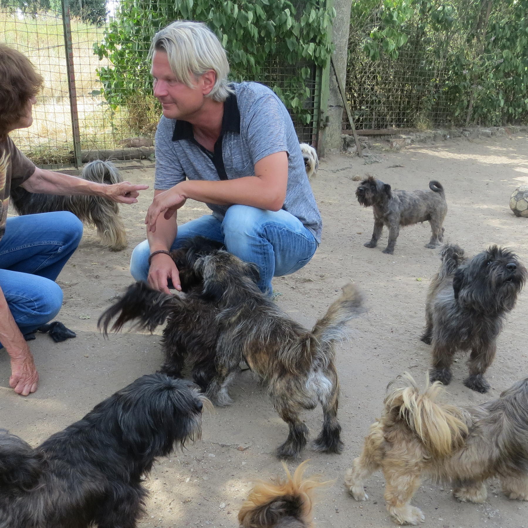 Tiere in Not - VOX-DOCMA TV-DR. GERALD KRAKAUER- Hunde von Reppichau Tiere in Not - VOX-DOCMA TV-DR. GERALD KRAKAUER- Hunde von Reppichau