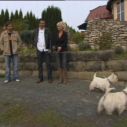hundeprofi2 rütter+kenzo