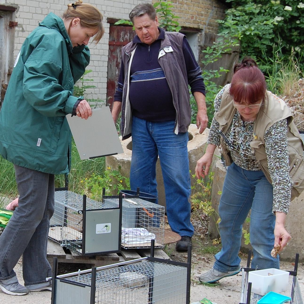 hkm KatzenkloTEST hkm KatzenkloTEST