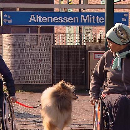 Tiergeschichten3 - VOX - Hundetrainerin Filiz Erfurt mit Yannick und seinem Hund Mylo beim Training fr die Behinderten-Begleithundeprfung