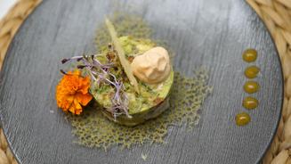 Avocado mit Shrimpstatar