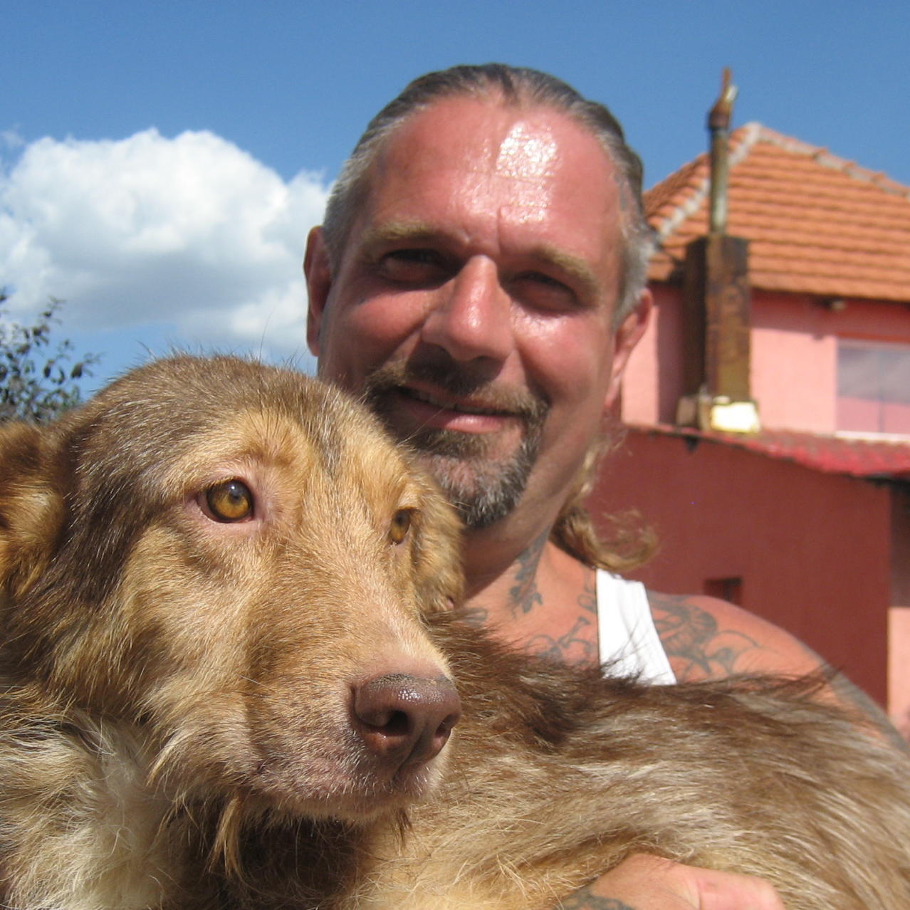 Vorschau1 - Harte Hunde - Ralf Seeger in Rumnien Vorschau1 - Harte Hunde - Ralf Seeger in Rumnien
