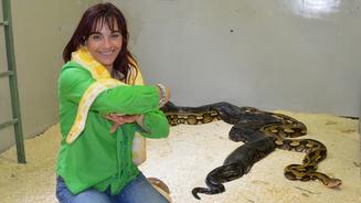 Tierdrama in Montenegro